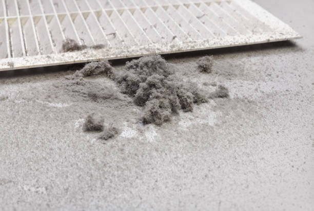 Best Affordable Duct Cleaning Services  in Choctaw, OK