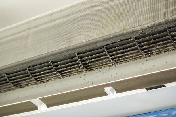 Air Duct Mold Removal in OK